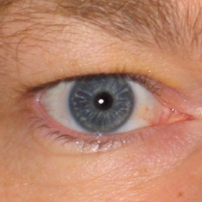 Photo of a human blue eye 